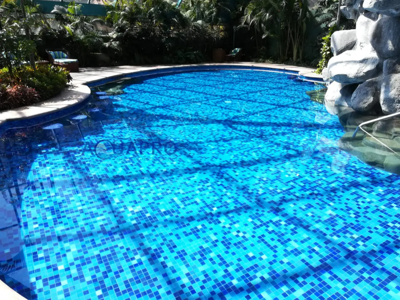 Imagen 7