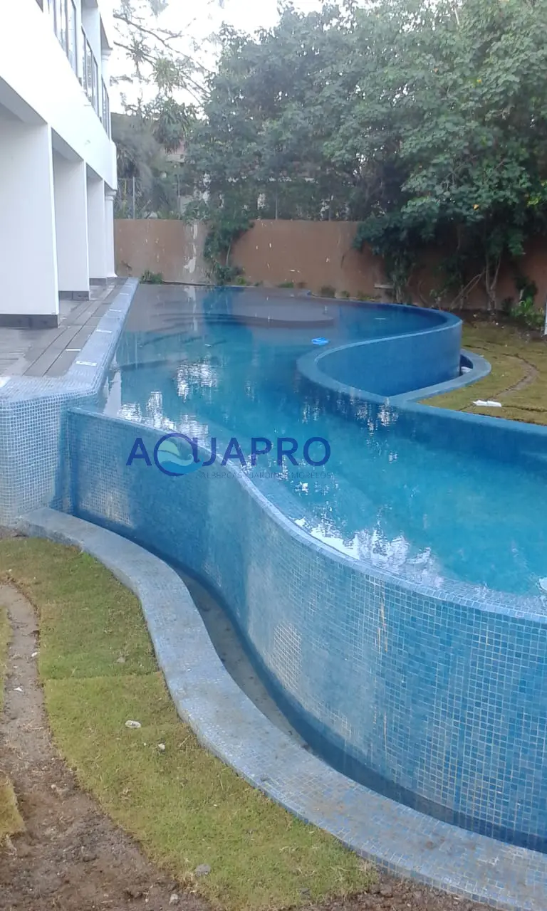 Imagen 7